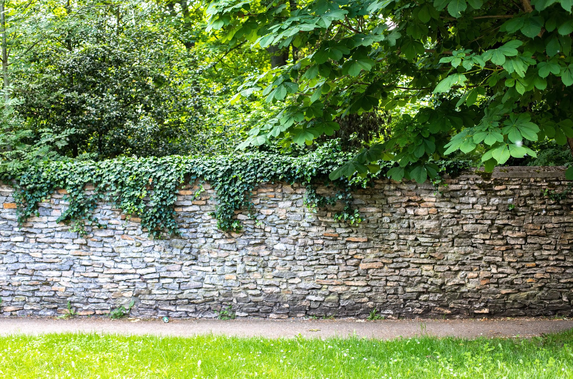 Stone masonry fencing and boundary wall in Philadelphia, featuring expertly stacked stones with ivy draped over the top