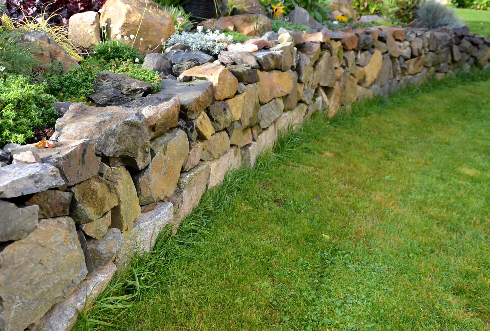 Beautifully constructed dry-stacked stone masonry wall in a garden, blending natural stones to create a rustic and durable landscape feature
